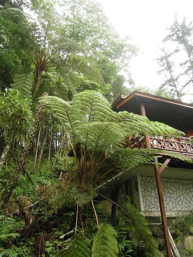 Fumei Bluebird Homestay Наньчжуан Экстерьер фото